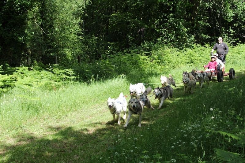 La Ferme Nordique de Brocéliande - ©