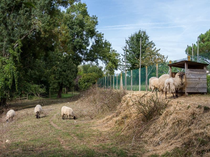 Ferme de la Barbanne - ©