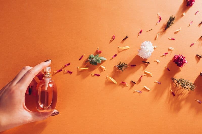Lampyre, parfumerie artisanale, où chaque fragrance est soigneusement créée à la main avec des ingrédients de qualité supérieure. Laissez vos sens s'éveiller avec nos parfums uniques et authentiques.