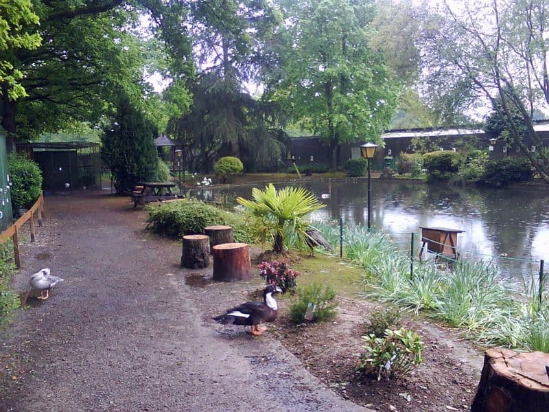 Parc Ornithologique de Bretagne - ©