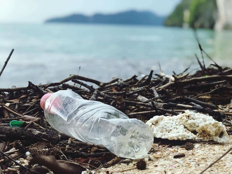 humain pollution biodiversité 