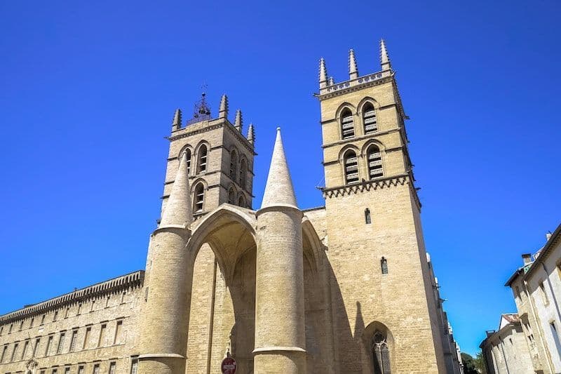 La Cathédrale Saint Pierre et le Musée Fabre - HiDeal