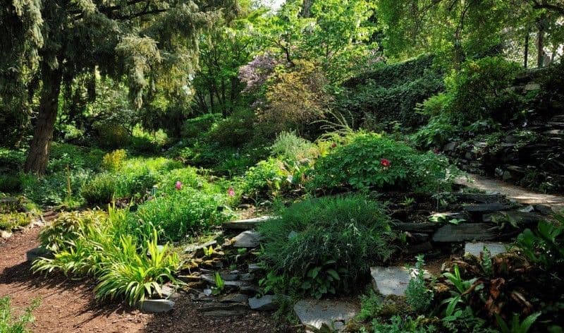 Jardin alpin - HiDeal