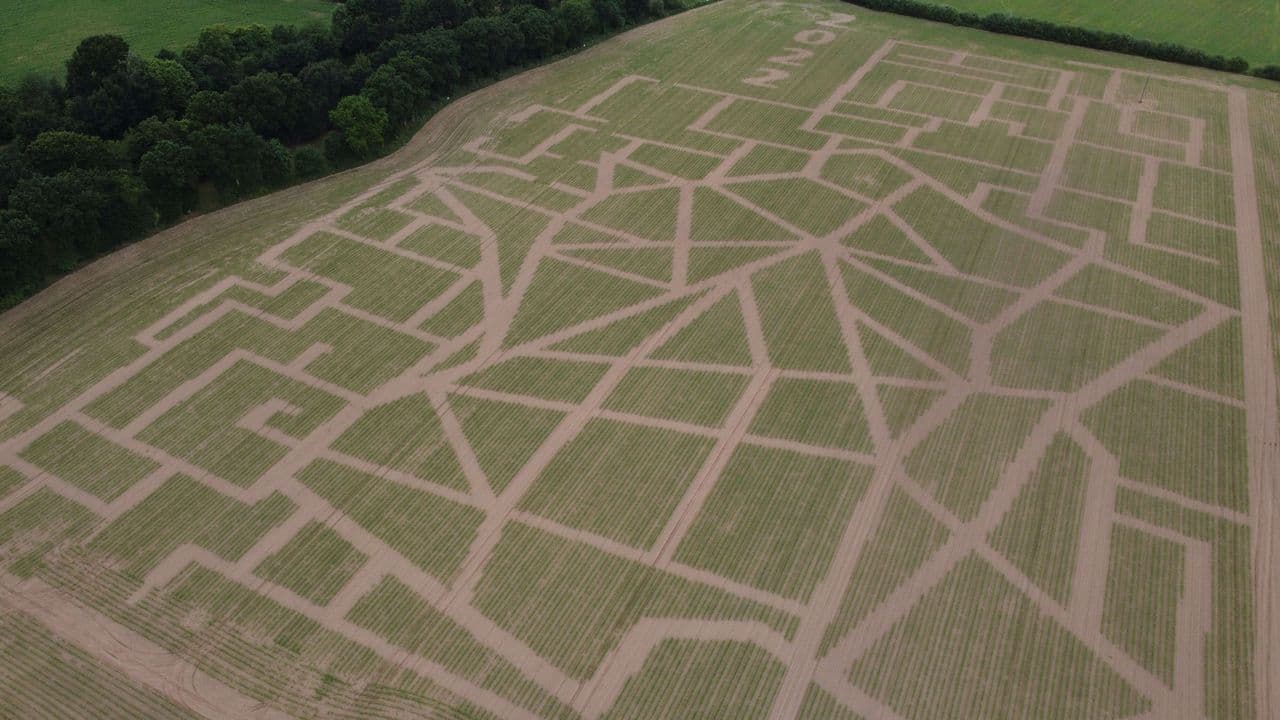 Labyrinthe de Maïs de Combourg - ©