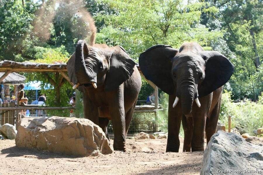 Le zoo de la Flèche - Top 5 des plus beaux parcs animaliers de France - HiDeal