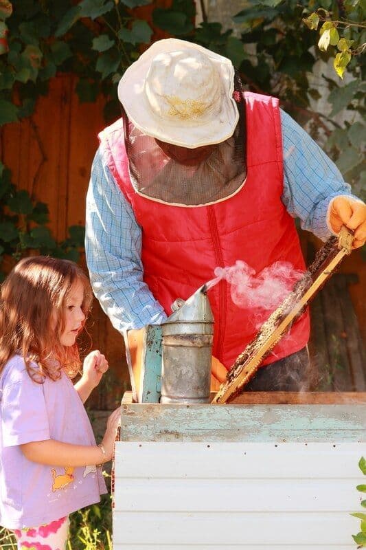 tiny apiculture.jpg